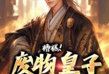糟糕！废物皇子他觉醒了大结局，徐元南宫璃小说无广告阅读-维C文学