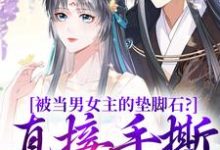 被当男女主的垫脚石?直接手撕剧本(云子娆墨苍澜)最新章节免费在线阅读-维C文学