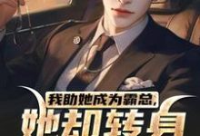 我助她成为霸总,她却转身不要我了热门小说(陆寒楚若烟)在线阅读无弹窗-维C文学