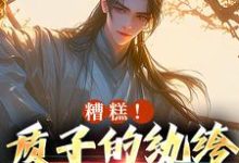 小说糟糕！质子的纨绔人设被掀了主角李卯免费阅读-维C文学