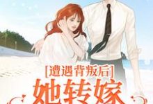 主角是叶千纯陆瑾川的小说遭遇背叛后，她转嫁大佬赢麻了在哪免费看-维C文学