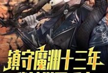 镇守魔渊十三年，我被举国唾弃无弹窗楚南最新章节列表-维C文学