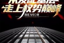 官梯:从发配基层走上权势巅峰热门小说(杨飞方婷)在线阅读无弹窗-维C文学