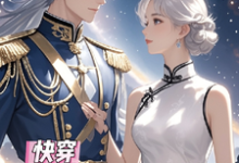 完结版快穿总是对元帅大人一见钟情在哪免费看，夏初季淮序小说在线阅读-维C文学