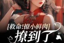 救命！撩小鲜肉撩到了顶级权贵！大结局，李善小说无广告阅读-维C文学