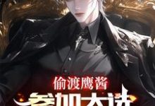 偷渡鹰酱,参加大选不过分吧?免费阅读,赵峰大结局无弹窗-维C文学