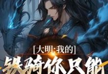 大明:我的铁骑你只能看不能借!精彩章节在线免费阅读(张璟川)-维C文学