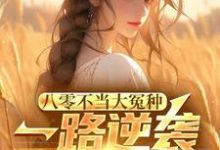 主人公是许白的小说八零不当大冤种,一路逆袭你急啥免费阅读-维C文学