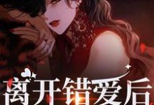 夏枝封祈在线阅读,离开错爱后,她独自美丽小说完结版章节-维C文学