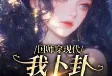 国师穿现代,我卜卦算命爆红(沈确沈禾)最新章节免费在线阅读-维C文学