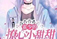 霍少的撩心小甜甜又暴富了大结局,慕岑抬小说无广告阅读-维C文学