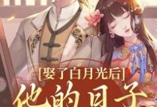 娶了白月光后，他的日子鸡飞狗跳无弹窗盛栖月萧玉衡最新章节列表-维C文学