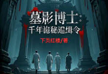 张道陵小说免费阅读最新章节列表,墓影博士:千年诡秘追缉令小说在线看-维C文学