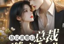 协议离婚后，总裁燃遍全球（林深）完结版免费阅读-维C文学