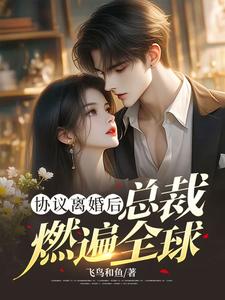 林深小说免费阅读最新章节列表，协议离婚后，总裁燃遍全球小说在线看