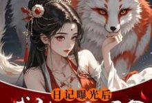 求助这本日记曝光后我被四个侯爷盯上了小说在哪里可以看完结版-维C文学