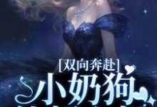 主角是姜以宁贺驰的小说双向奔赴，小奶狗他超心机在哪免费看-维C文学