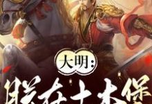精彩章节阅读大明：朕在土木堡杀疯了(朱祁镇)免费小说在线看-维C文学