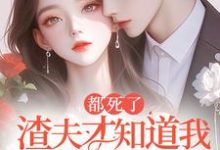 求助这本都死了,渣夫才知道我是他白月光小说在哪里可以看完结版-维C文学