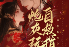 炮灰玩家自救指南无弹窗唐蔓赤夜最新章节列表-维C文学
