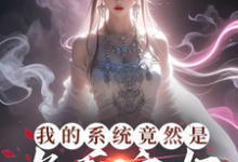完结版我的系统竟然是九天玄女在哪免费看,叶沐枫小说在线阅读-维C文学
