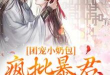 团宠小奶包，疯批暴君沉迷养崽在线看，萧璟月萧永乾小说大结局在哪免费看-维C文学
