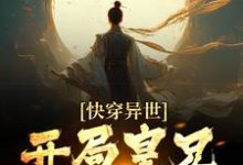 快穿异世,开局皇兄全战死(李辰穆英儿)最新章节免费在线阅读-维C文学