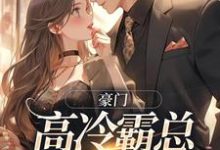 主角是苏颜汐傅霖宸的小说豪门:高冷霸总别太宠在哪免费看-维C文学