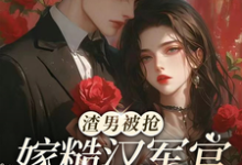 小说渣男被抢，嫁糙汉军官养崽躺赢（唐念欢魏长风）最新章节在哪看-维C文学