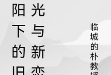 暖阳下的旧时光与新恋曲(主角陆子轩)完结版免费阅读-维C文学