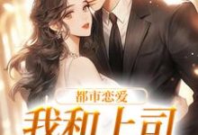 主角是宋谨言苏念念的小说都市恋爱:我和上司he了在哪免费看-维C文学