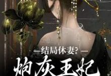 求助这本结局休妻?炮灰王妃她力挽狂澜小说在哪里可以看完结版-维C文学