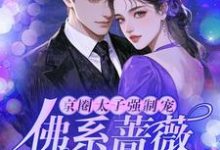 主角是林北的小说京圈太子强制宠，佛系蔷薇怀里娇在哪免费看-维C文学