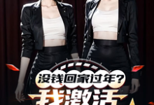 没钱回家过年?我激活0元购系统最新章节没钱回家过年?我激活0元购系统在线阅读-维C文学