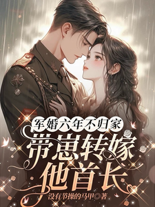 求助这本军婚六年不归家，带崽转嫁他首长小说在哪里可以看完结版