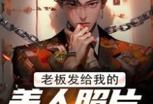 小说老板发给我的美人照片是老板娘主角林江宇免费阅读-维C文学