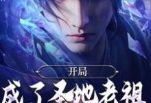 林凡小说免费阅读最新章节列表,开局成了圣地老祖,我走废材流小说在线看-维C文学
