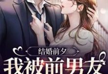 结婚前夕,我被前男友带走了精彩章节阅读(薄寒深曲南枝)免费阅读大结局-维C文学