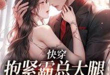 跪求主角是江岁岁沈京屿的小说书名叫什么-维C文学