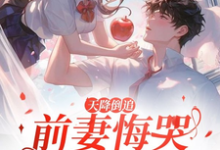 天降倒追,前妻悔哭求复合(李沐风)最新章节在线阅读-维C文学
