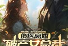 傻医离婚,破产女总裁捡到宝精彩章节阅读(杨路年兮兮)免费阅读大结局-维C文学