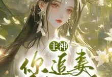 跪求主角是夏溪苏礼的小说书名叫什么-维C文学