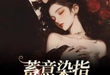 蓄意染指:大佬病态缠欢精彩章节在线免费阅读(沈行川桑妩)-维C文学