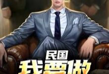 民国:我要做乱世枭雄免费阅读(林江宇)小说免费读最新章节-维C文学