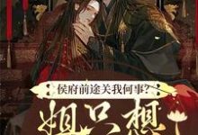 主人公是闵乔氏的小说侯府前途关我何事?姐只想逍遥一生免费阅读-维C文学