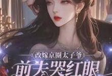 改嫁京圈太子爷，前夫哭红眼求我别嫁免费阅读，林江宇大结局无弹窗-维C文学