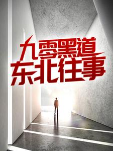 九零黑道东北往事大结局，沈从文林佳小说无广告阅读