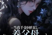 司音在线阅读,当真千金回归后,养父母要我嫁农夫小说完结版章节-维C文学
