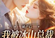 破产后，我被冰山总裁接回家（涂鸢谢引鹤）最新章节免费阅读-维C文学