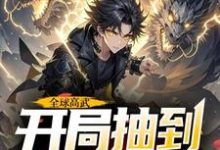 小说全球高武,开局抽到荒古圣体(许天)最新章节在哪看-维C文学